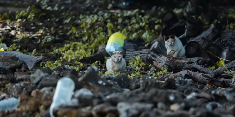 Beach Debris Figurines 1