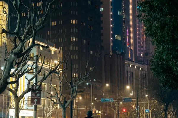 Bund Night Walk 1