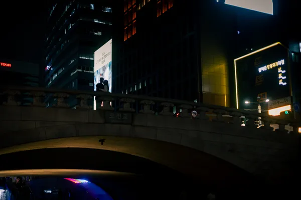 Cheonggyecheon Bridge Night 1