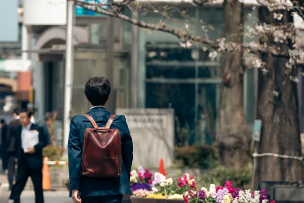 Cherry Blossom Walk 1