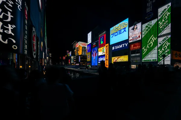 Dotonbori Neon Signs 1
