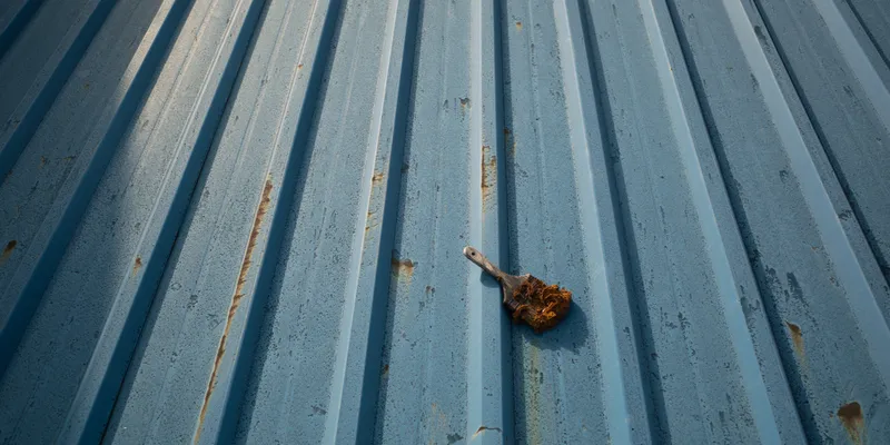 Dried Leaf Tin Roof 1