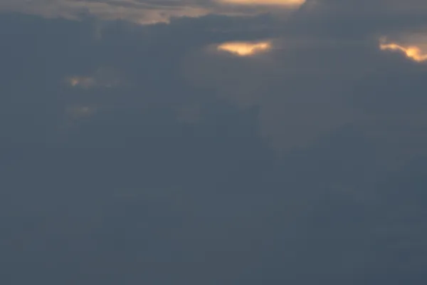 Heron Ocean Sunset 1