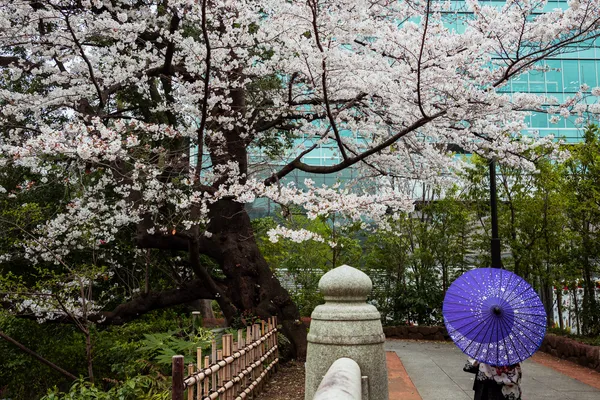 Kimono Umbrella Cherry 1