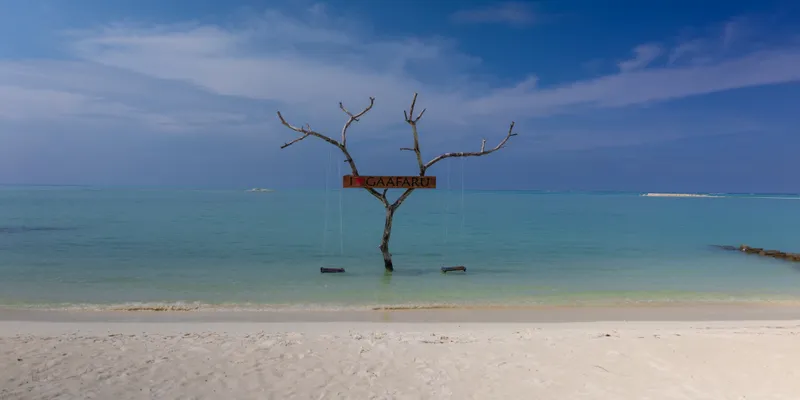 Lone Tree Beach 1