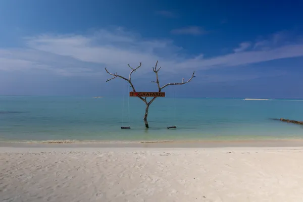 Lone Tree Beach 1