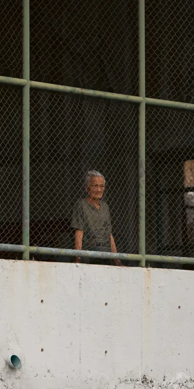 Man Behind Iron Fence 1