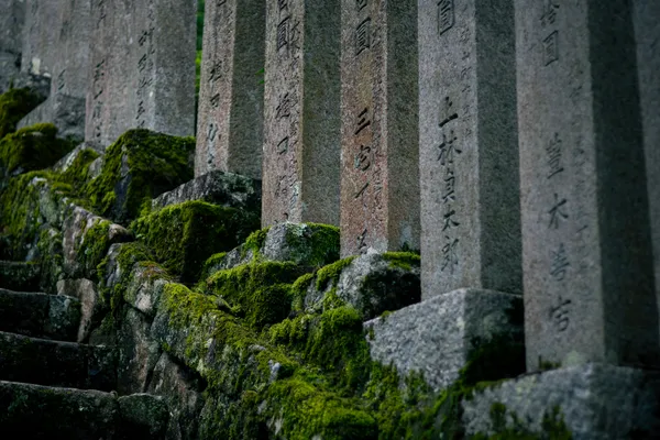 Moss Stone Pillars 1
