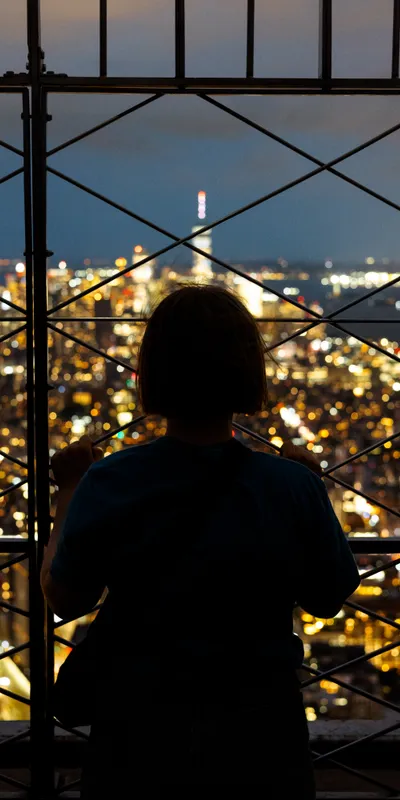 Observation Deck Silhouette 1
