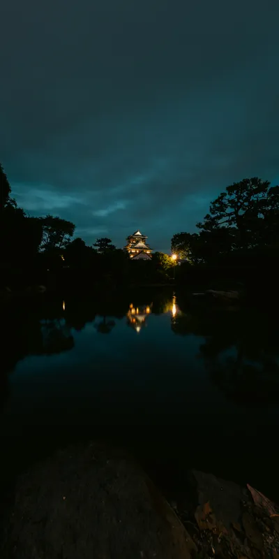 Osaka Castle Moat Night 1