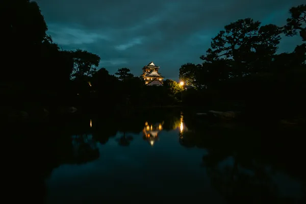 Osaka Castle Moat Night 1