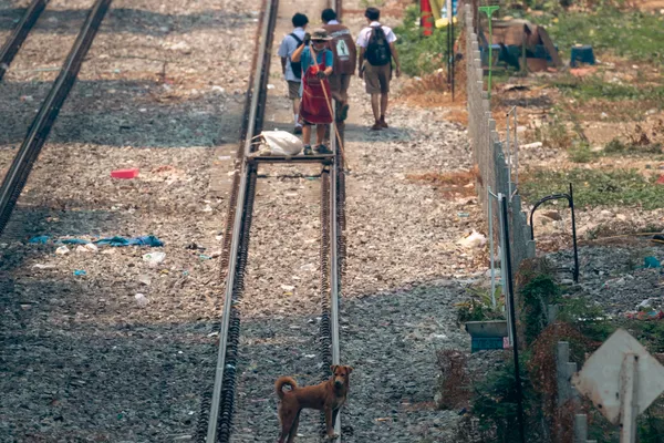 People Walking Railway Tracks 1