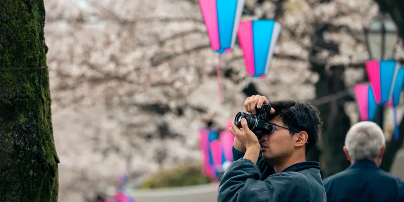 Photographer Cherry Lanterns 1