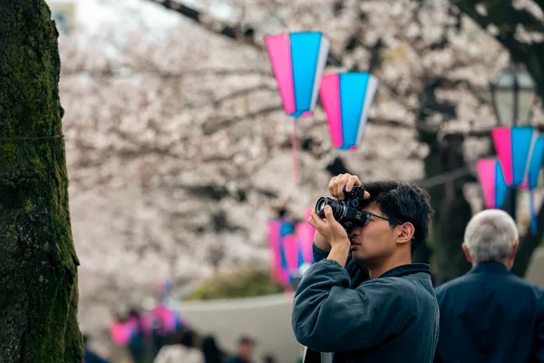 Photographer Cherry Lanterns 1