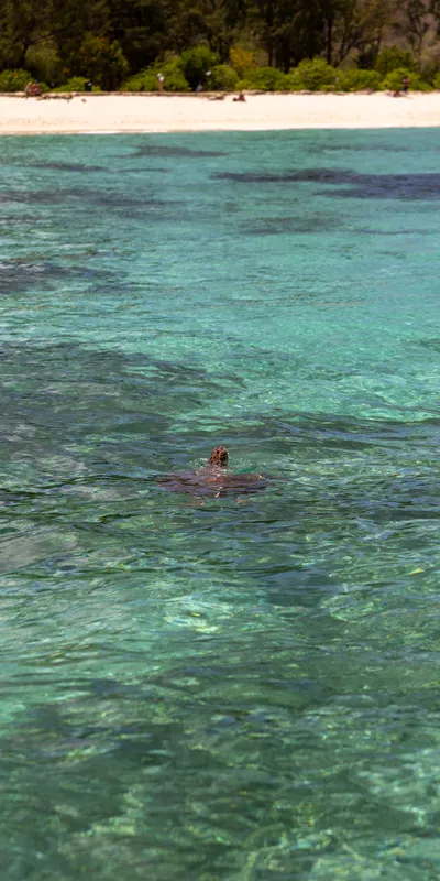 Snorkeling Turquoise Lagoon 1