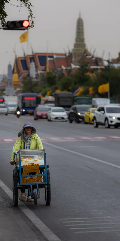 Street Vendor Tricycle Palace 1
