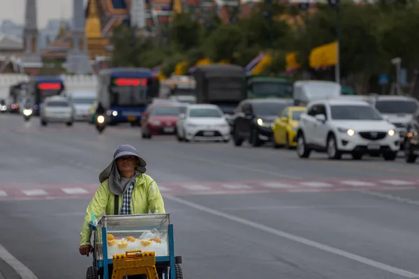 Street Vendor Tricycle Palace 1