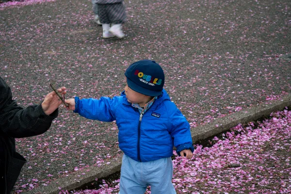 Toddler Cherry Petals 1