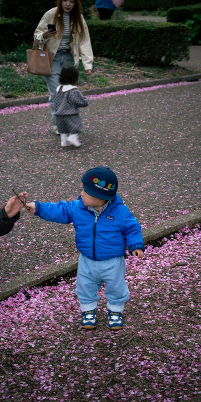 Toddler Cherry Petals 1