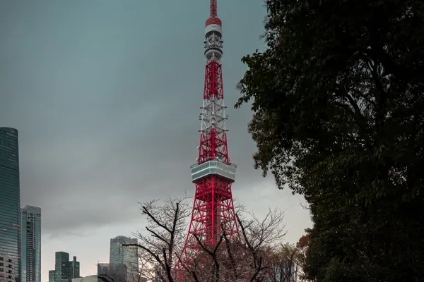 Tokyo Tower Dusk 1