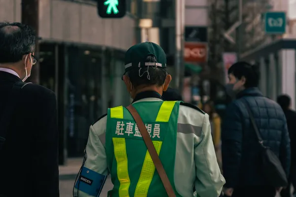 Traffic Guard Crossing 1